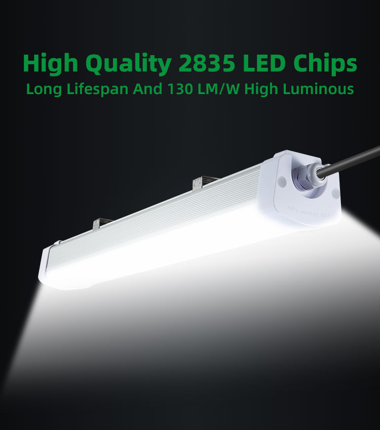 LED Tri-Proof Lights 2